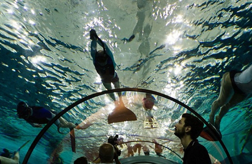 swimming pool ..